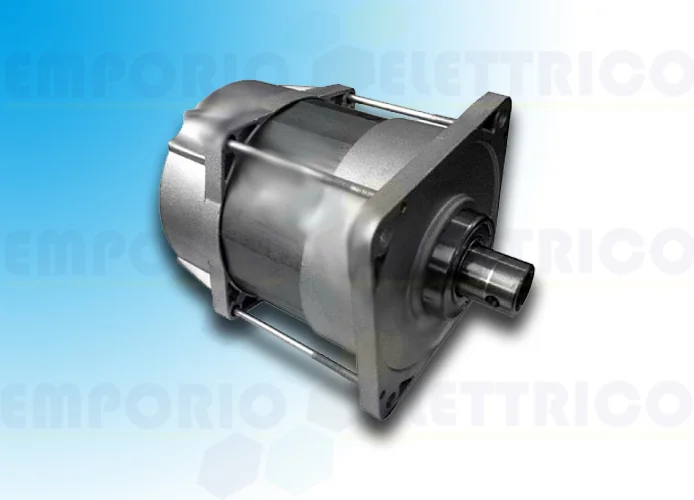 came ricambio gruppo motore emega 119rie152