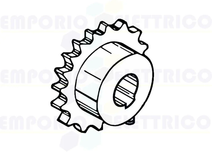 fadini pignone semplice 1/2" z20 2055l